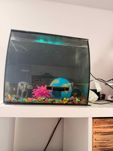 Photo of free Fish tank and two fishes (Longstock SO20) #1