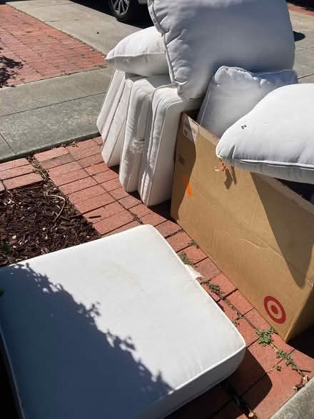 Photo of free Curb alert, Cupertino cushions (Rancho Rinconado Cupertino) #2