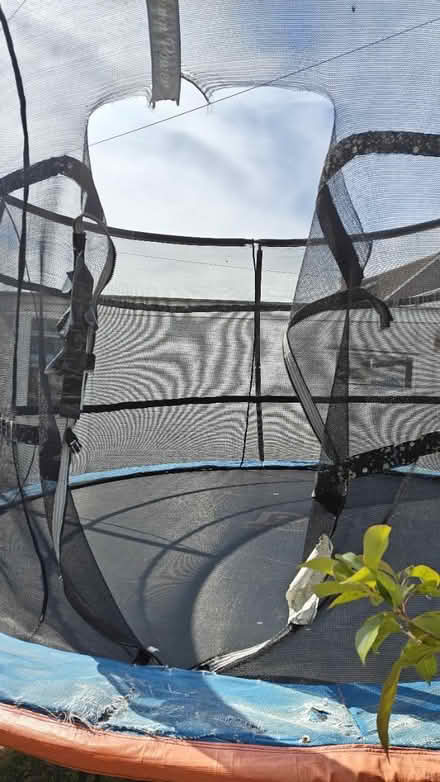 Photo of free 12ft trampoline (Central Exeter) #3
