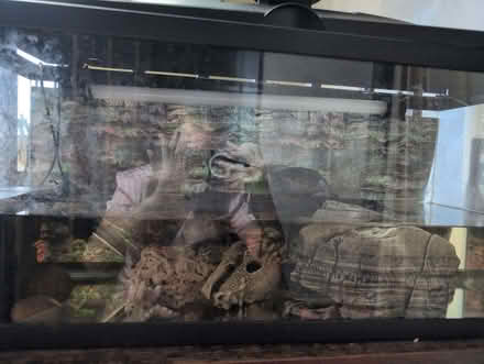 Photo of Turtle aquarium (Tyburn B24) #1