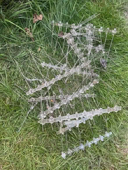 Photo of free Anti bird spikes to deter pigeons etc (Hertford Heath SG13) #1