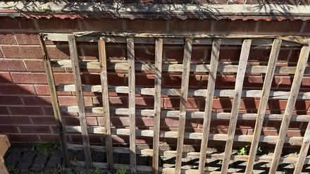 Photo of free Lattice fence panels (Spondon DE21) #4