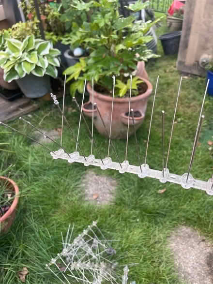 Photo of free Anti bird spikes to deter pigeons etc (Hertford Heath SG13) #2