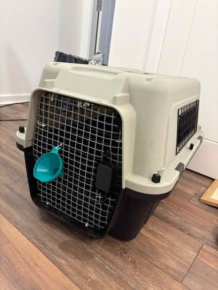 Photo of free carrier for cat or small dog (battlefield G42) #1