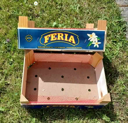Photo of free 2 fruit boxes (East Kilbride G74) #1