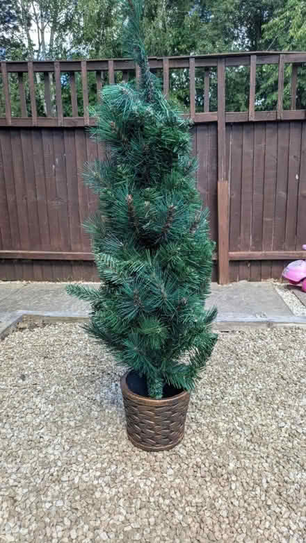 Photo of free artificial Christmas tree (wigmore) #1