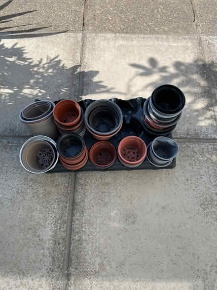 Photo of free Selection of flower pots (Lawford CO11) #1