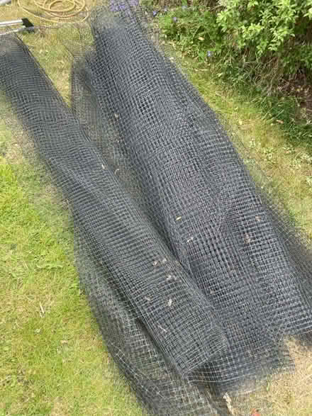 Photo of free Fruit Cage Netting (WR13, Berrow) #1