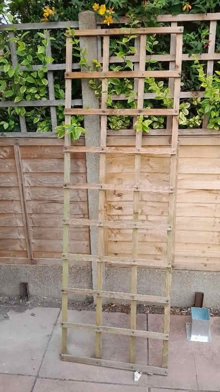 Photo of free Wooden trellis 6' x 2' (Headington OX3) #1