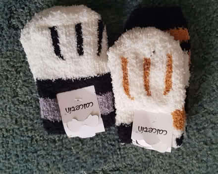 Photo of free 2 pairs new 'Paws' socks - Collect Lordswood (Lords Wood ME5) #1