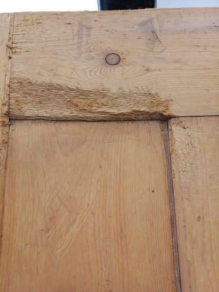Photo of free Stripped pine door (WR14 Malvern) #3