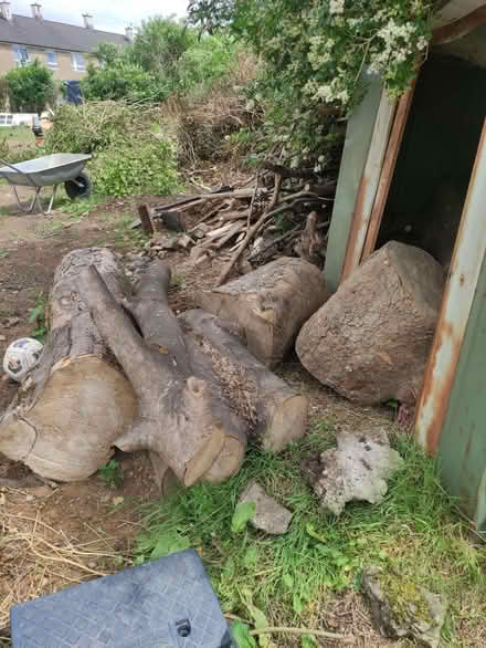 Photo of free Wood (Higher Croft BB2) #1
