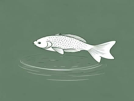 Photo of Pond fish (Blackpool FY1) #1