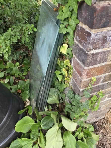 Photo of free 6 x greenhouse glass panes (Epsom KT18) #1