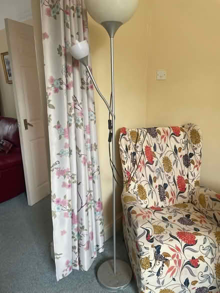 Photo of free Floor lamp (Olive Mount L15) #1