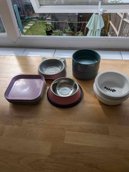 Photo of free Cat Bowls and Plates (Cuxton) #1