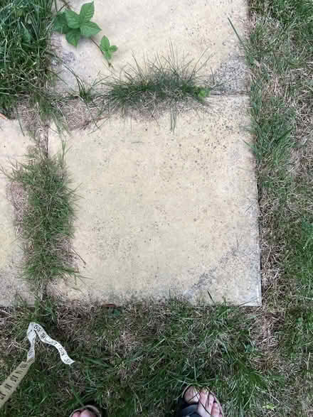 Photo of 5 x approx Paving slabs 18” x 18” (Shephall SG2) #1