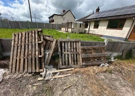 Photo of free 9x wood pallets (Church stretton) #1