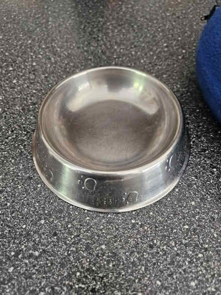 Photo of free Small dog bundle (Littlemore OX4) #3
