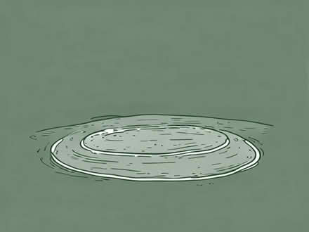 Photo of Pondliner (Porthill SY3) #1