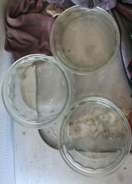 Photo of free 3 Ramekins (Levenshulme M19) #1