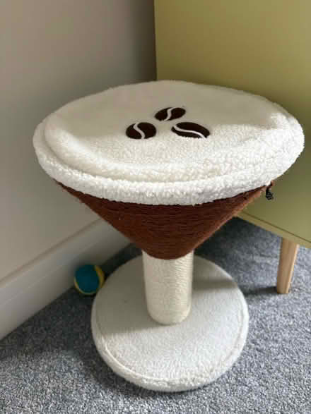 Photo of free Cat martini scratching post (suitable for small cat/kitten) (Walkley S6) #1