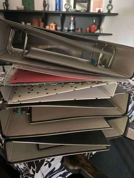 Photo of free Elba A4 lever arch files - SE6 (Bellingham SE6) #1
