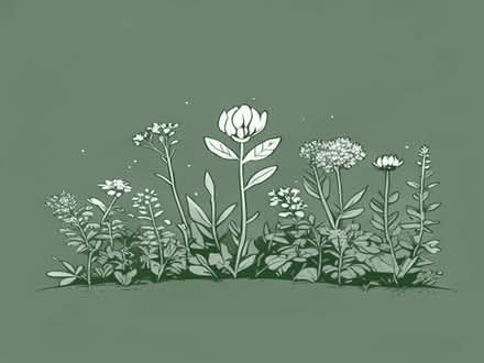 Photo of free Various garden perennials (Tilehurst RG31) #1