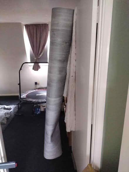 Photo of free Lino (SW4) #1