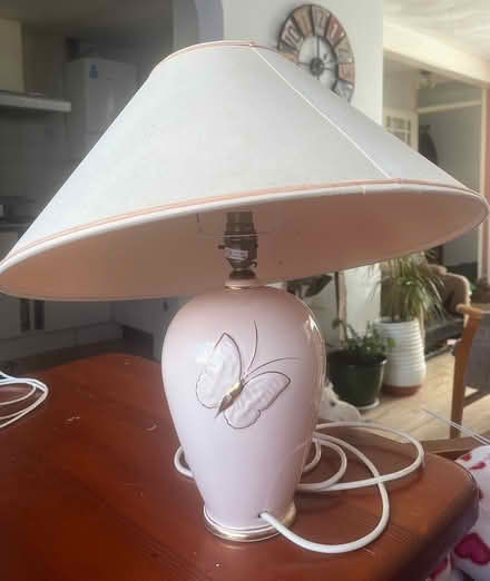 Photo of free Lamp (Whiteway, Bath) #1
