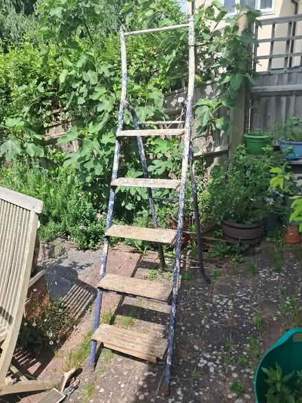 Photo of free Step ladder (Headington OX3) #2