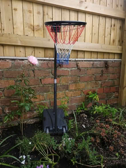 Photo of free Basket ball net (CH45) #1