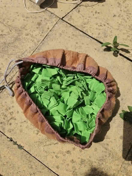 Photo of free Dog treat toy (Bracknell, RG12) #1
