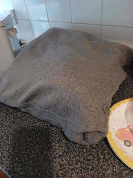 Photo of free Grey cushion (Landguard Common IP11) #1