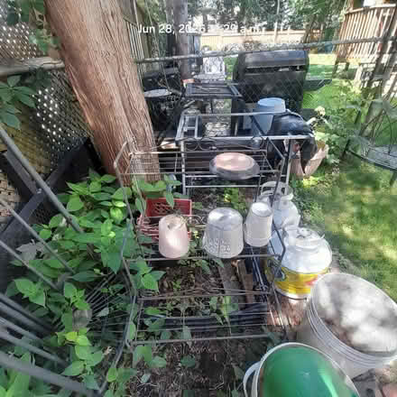 Photo of free Plant Stands (22 Thirty Eighth Street, Etob) #3