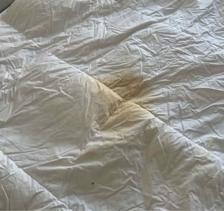 Photo of free King feather duvet and cover (Borough, SE1) #3