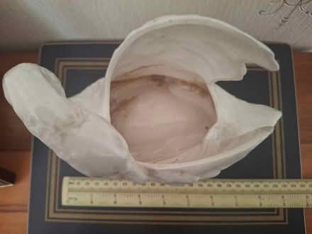 Photo of free Ceramic swan shape plant pot holder (Tipton St. John) #2