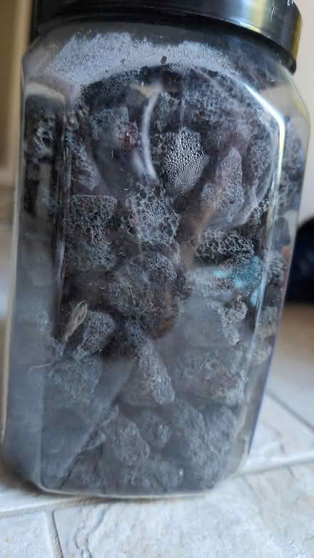 Photo of free Lava Rocks (Trafalgar/River Oaks, Oakville) #1