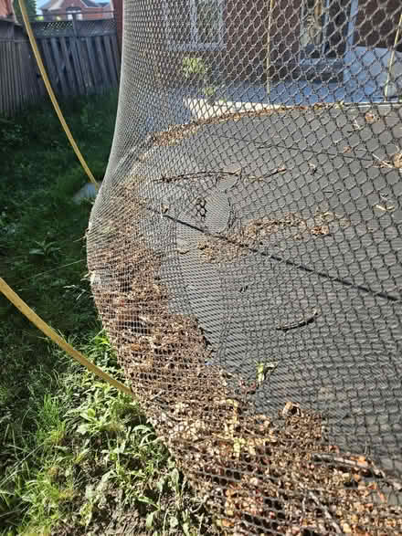 Photo of free Trampoline (Mississauga central) #2