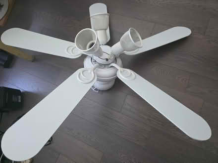 Photo of free Ceiling fan and light (Near eglinton west station) #1