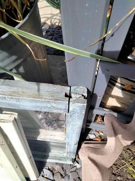 Photo of free Garden project (Headley KT18 6) #4