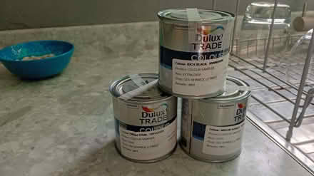 Photo of free 3 tins of Dulux paint (Berwick-upon-Tweed TD15) #1