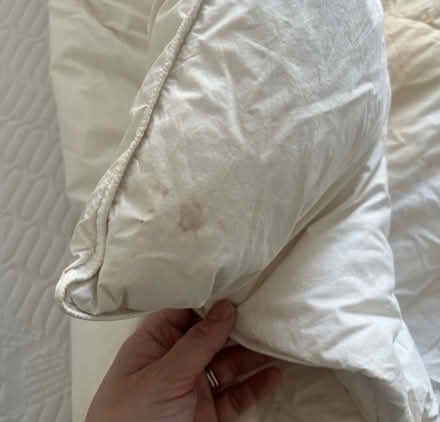 Photo of free King feather duvet and cover (Borough, SE1) #2