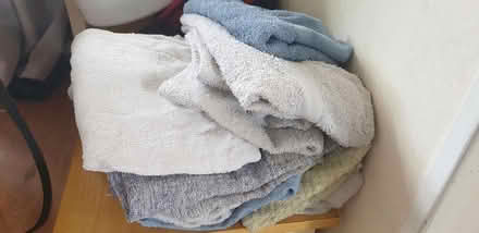 Photo of free Old towels- useful for pets etc? (Guildford GU2) #1