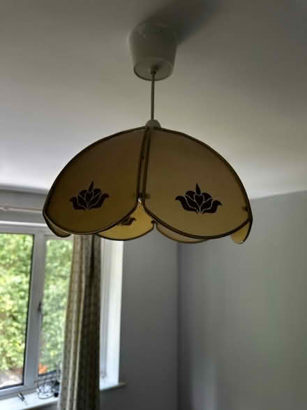 Photo of free Lampshades (SL0 0pt) #4