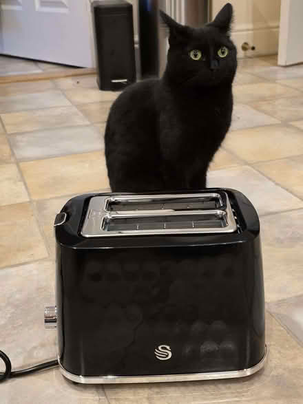 Photo of free Swan Hexton Variable Width 2 Slice Toaster (Silverknowes EH4) #2