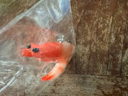 Photo of free Shrimp keychain (Belmont) #2