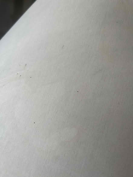 Photo of free Lamp (Whiteway, Bath) #2