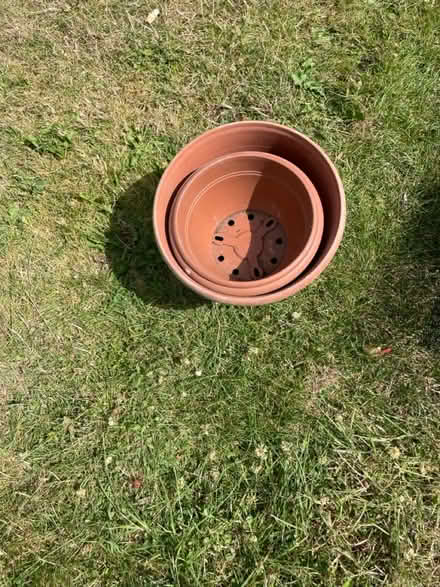 Photo of free Plant trays and pots (WR13, Berrow) #2