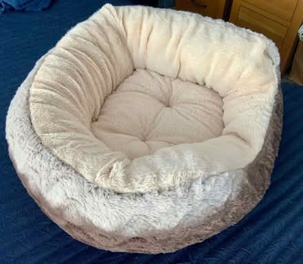 Photo of free Squishy Cuddly Cat Bed (Kendal LA9) #1